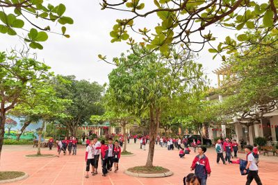 🌿🌿CHỒI NON BỪNG TỈNH GIẤC  🌱🌱GỌI NẮNG HẠ SẮP SANG